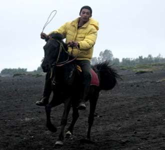 Derap Kuda Bromo