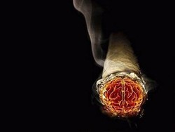 Rokok di Indonesia Tidak Mengandung Babi