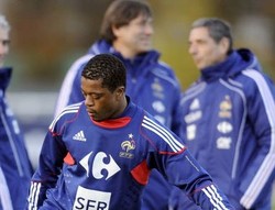 Ayam Jantan Bertekad Menepis Keraguan