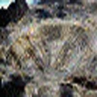 Freeport: Keuntungan Asing vs Kesejahteraan Rakyat 