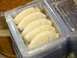 Manis-Manis Gurih si Janggut Naga