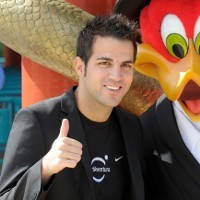 Arsenal Makin Tinggi Pagari Fabregas