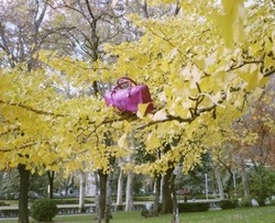 Tampil Tangguh Dengan Tas Amazona, Loewe