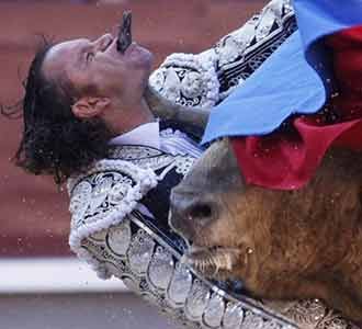 Banteng Seruduk Matador