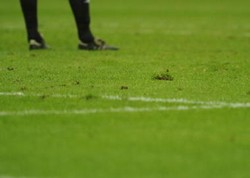 Wembley Ancam Rusak Piala Dunia Inggris