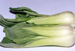 Koma Karena Makan Daun Bok Choy