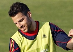Fabregas Mulai Fit
