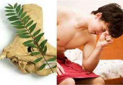 Sisi Lain si Tongkat Ali