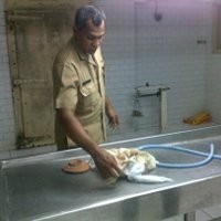 Orok Bayi Ditemukan di Perumahan Darmo Permai Indah