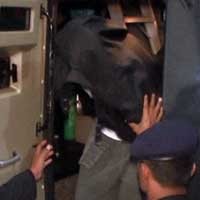 Gus Shon Pernah Jadzab, Miliki Kelebihan Irasional