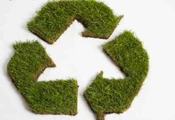 Go Green, Seberapa Hijau Diri Anda?