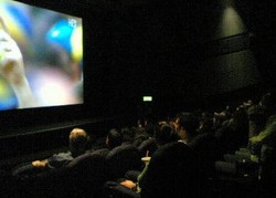Nonton Piala Dunia di Bioskop