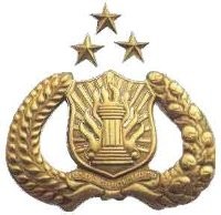 Reposisi Dinilai Berpeluang Jadi Ajang Politisasi Polri