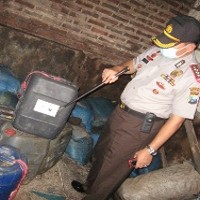 Bahan Baku Ikan Berformalin Adalah Ikan Pari Busuk