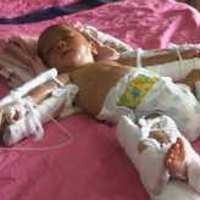 Komnas PA Minta Proses Hukum Terhadap Yani Jalan Terus