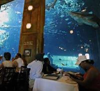 Kapal Kargo Jadi Restoran