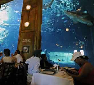 Kapal Kargo Jadi Restoran