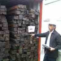 Bea Cukai Tanjung Perak Gagalkan Penyelundupan Kayu