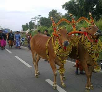 Peringatan 1 Tahun Suramadu