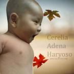 Cerelia Adena Haryoso, 2 Bulan; Perempuan; f