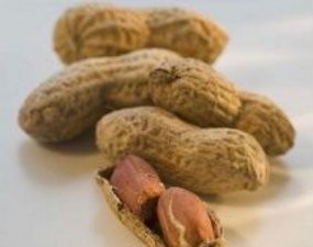 Kacang Laku Keras Saat Piala Dunia