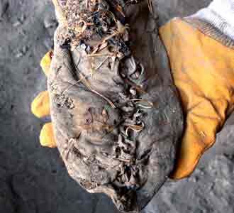 Sepatu Kulit Tertua Ditemukan