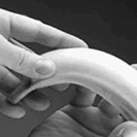 Valentines Day, Seks Bebas, dan Budaya Liberal 