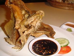 Krenyes Renyah Flying Gurame