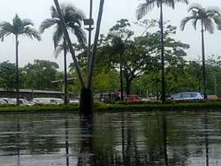 Orchard Road Banjir, Singapore Expo Lebih Sepi 