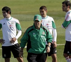 Meksiko Siap Mangsa Ayam Jantan