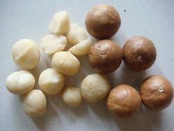 Yuk, Kenalan dengan si Macademia!