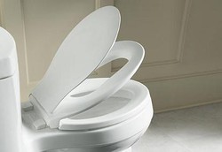 Toilet Duduk Tak Bisa Tularkan Penyakit Kelamin