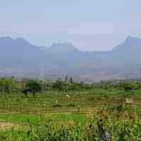 Libatkan Paranormal, Pencarian Masih Belum Buahkan Hasil