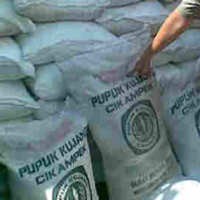 Belum Bisa Ekspor, Pupuk Kaltim Rugi Rp 50 M per Bulan