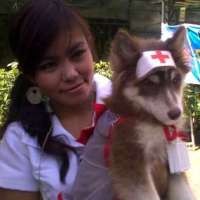 Perawat ala Anjing Siberian
