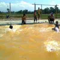 Dinkes Madiun Imbau Agar Air 3 Rasa Digunakan Mengairi Sawah
