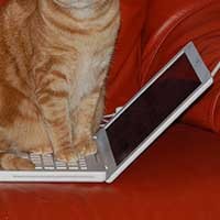 Indonesia Gelar Wimax Dulu, Baru LTE