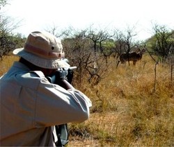 Piala Dunia Pukul Industri Berburu Afsel