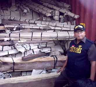 Penyelundupan Kayu ke China Digagalkan