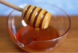 Madu Bisa untuk Antibakteri