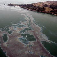 AS Akan Terima Bantuan dari 12 Negara Untuk Atasi Tumpahan Minyak