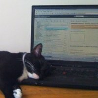  Asia Tenggara Pasar Empuk 4G Wimax