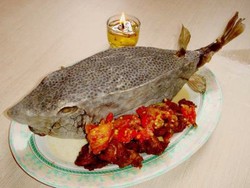 Kulitnya Sekeras Kapal Selam, Dagingnya Empuk Banget