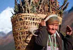 Mutasi Genetik Orang Tibet Hanya Butuh 3.000 Tahun