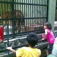 Liburan Sekolah, Puluhan Ribu Pengunjung Sambangi Bunbin