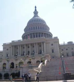 Disengat Terik Matahari di Washington DC