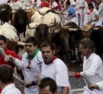 Beradu Nyali Lawan Banteng