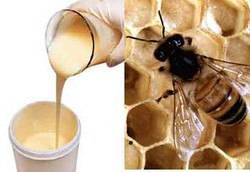 Apa Untungnya Minum Royal Jelly?