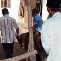 Tak Kunjung Dirawat, Korban Ledakan Elpiji Pasuruan Tewas