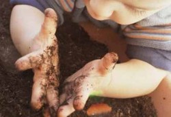 Penyakit Cacing Gelang Rugikan Negara Ratusan Miliar